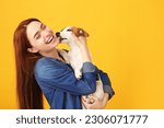 Small photo of Happy woman with her cute Jack Russell Terrier dog on orange background. Space for text