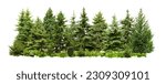 Small photo of Different green trees and plants on white background