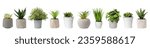 Set of artificial plants in...