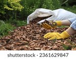 Woman mulching soil with bark chips in garden, closeup