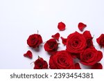 Beautiful red roses and petals...