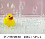 Yellow Rubber Duck In Bathroom...