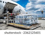 Air cargo logistic containers are loading=