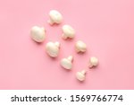 fresh mushrooms on color... | Shutterstock . vector #1569766774
