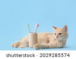 Cute cat with tooth brushes on color background