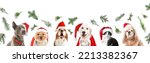 Set Of Cute Animals In Santa...