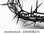 Crown of thorns on white background, closeup