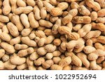 peanut in a shell texture. food background of peanuts 