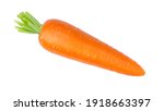 Fresh organic carrot isolated on white background. 