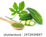 Bitter gourd or bitter melon with green herbal powder in wooden spoon isolated on white background. 