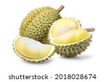 Durian Fruit And Ripe Durian...