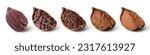 Small photo of Cocoa pod with beans, cocoa nibs, cocoa mass and cacao powder in half sliced isolated on white background. Top view. Chocolate ingredients concept.