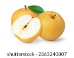 Snow pear or korean pear fruit and half sliced isolated on white background. 