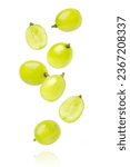 Small photo of Green grapes with cut in half sliced flying in the air isolated on white background.