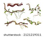 liana or vine winding branches... | Shutterstock .eps vector #2121219311