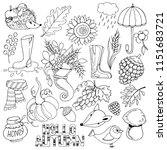 set of hand drawing autumn... | Shutterstock .eps vector #1151683721
