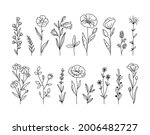 wildflowers black and white... | Shutterstock .eps vector #2006482727