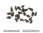 Small photo of Closeup on Nigella Seed also Known as Black Caraway, Black Seed, Black Cumin, Fennel Flower, Nutmeg Flower. Top View. Isolated on White Background.