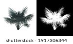left view of silver date palm... | Shutterstock . vector #1917306344