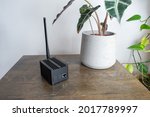 Helium hotspot cryptocurrency miner next to a plant in a home or office.