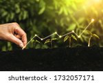 Small photo of Hand planting seedling growing step in garden with sunshine. Concept of business growth, profit, development and success.