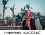 Small photo of Saudi Foundation Day, the national day of the Kingdom of KSA, A Saudi man riding a horse and carrying a Saudi warrior's sword Saudi heritage History of the Kingdom of KSA