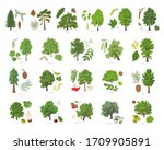 vector illustration set of... | Shutterstock .eps vector #1709905891