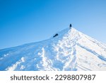 Person clibming up snowy mountain peak. Blue sky in afternoon. Hiker or climber snowshoeing up to top of big rock.