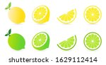 collection set of fresh lemon... | Shutterstock .eps vector #1629112414