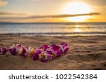 Lei On Shore At Sunset