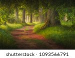 Magic fairy tale forest and forest path leading trough it