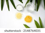 Small photo of Cetyl esters wax in glass container, Candelilla wax and organic Carnauba wax in chemical watch glass placed next to beaker surround with broadleaf lady palm leaves on white laboratory table.