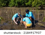 Small photo of Team of young diversity volunteer worker group enjoy charitable social work outdoor in mangrove planting NGO work for fighting climate change and global warming in coastline habitat project