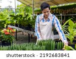 Small photo of Asian gardener is working inside the propagation table at nursery garden center for air purifying native and exotic plant grower