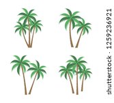 A Palm Tree Vector Set.
