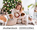Beautiful woman is playing with her two dogs near the Christmas tree with a round toy