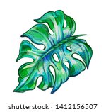 drawn manstera sheet on an... | Shutterstock . vector #1412156507