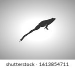 Frog Silhouette On White...