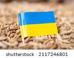 Flag Of Ukraine On Oat Grain....