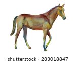 Watercolor Standing Horse.