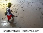 Small photo of eel seeker. fresh water eel searcher with electronic device (stun) in muddy rice field