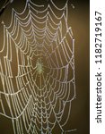 spider web close up. spider's... | Shutterstock . vector #1182719167