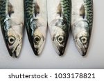 mackerel fish on the white table | Shutterstock . vector #1033178821