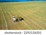 Small photo of Preparing green fodder for livestock. A forage harvester is dumping shredded fodder into a truck. Drone footage.