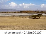 Small photo of Lake Natron, the largest lake in the East African Rift Valley in Tanzania and to a small extent in Kenya, known for its pink flamingos