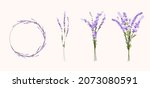 lavender set vector stock... | Shutterstock .eps vector #2073080591
