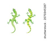 Gecko or lizard Vector illustration