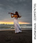 Small photo of Caucasian woman with violin on the beach. Music and art concept. Slim girl wearing long white dress and playing violin in nature. Sunset time. Cloudy sky. View from back. Bali, Indonesia