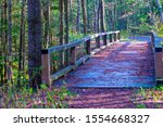 The bridge over the creek at Pattison State Park in Wisconsin, USA