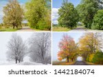Beautiful Collage Of 4 Seasons  ...